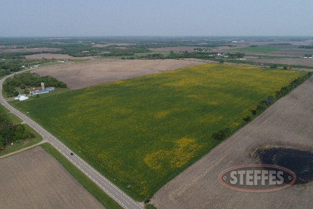 Tract 5 – Tillable Farmland – 154.87± Acres (Section 24-T127N-R33W on Survey)